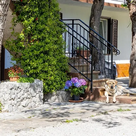 Domacija Mirko Miren