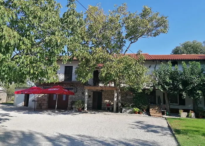 Domacija Mirko Bed & Breakfast